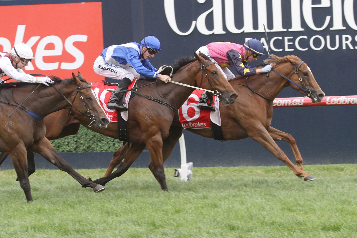 Not A Single Doubt filly wins Angus Armanasco Stakes