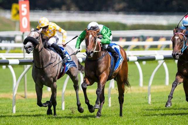 Estijaab heads Snitzel’s Randwick stakes treble