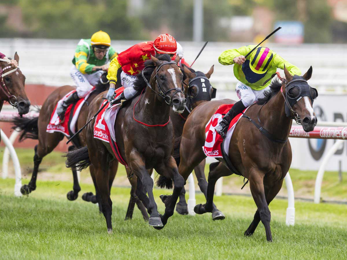 Oakleigh Plate quinella for Snitzel