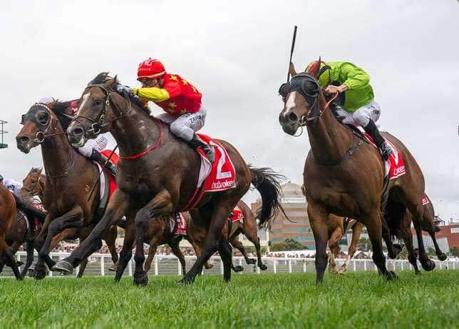 Oakleigh Plate quinella for Snitzel