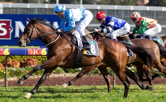 Ten days, 11 winners for Redoute's Choice