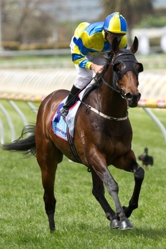 New Group 1 performers for Charge Forward & Flying Spur