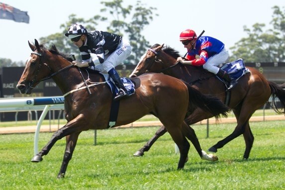 North & South success for Redoute's Choice 2YOs