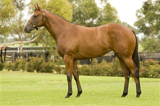 Stakes double for Arrowfield sale graduates