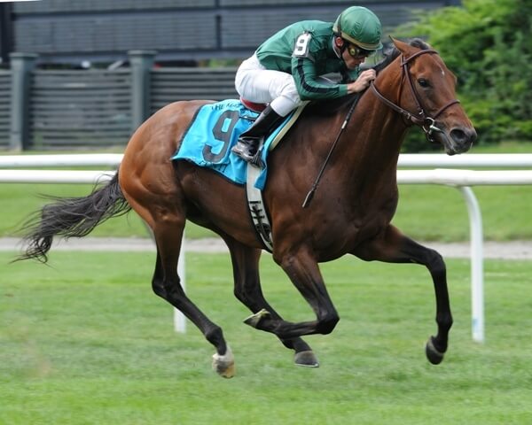 US Champion Gio Ponti joins 2012 Arrowfield roster