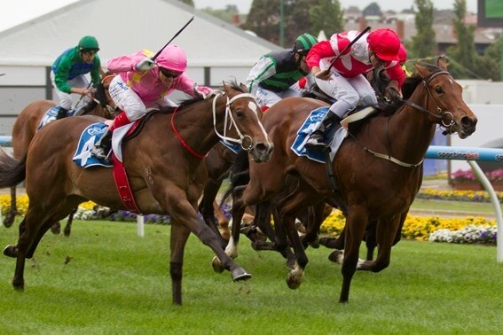 Charge Forward colt wins rich Inglis Banner