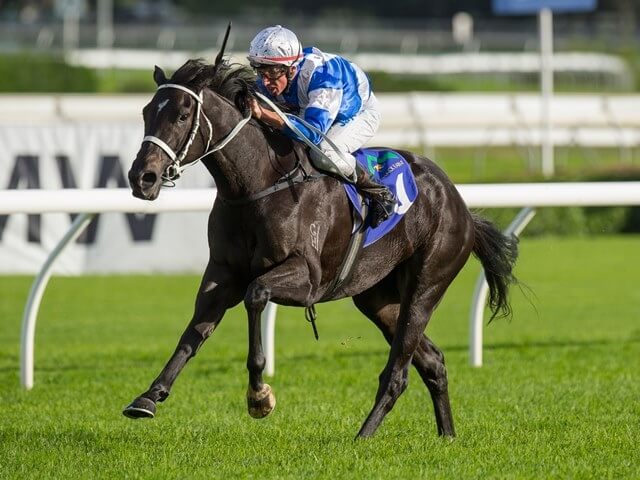 Magnificent new Group 1 Classic winner for Redoute's Choice
