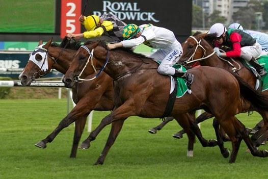Randwick Group quinella for Redoute's Choice