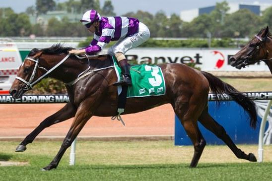 Arrowfield's super day out at Rosehill