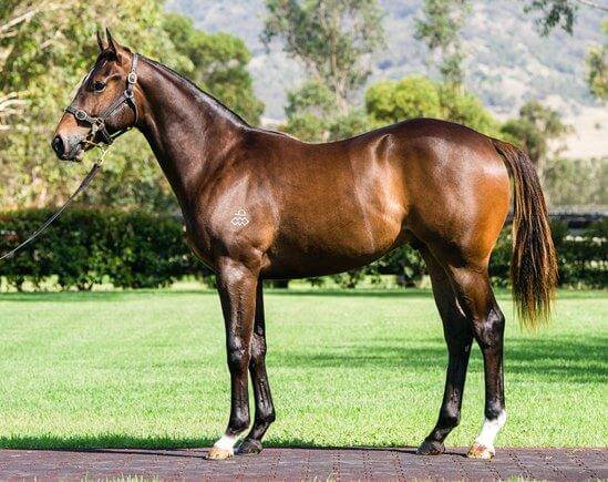 All American's family quinella at Canterbury
