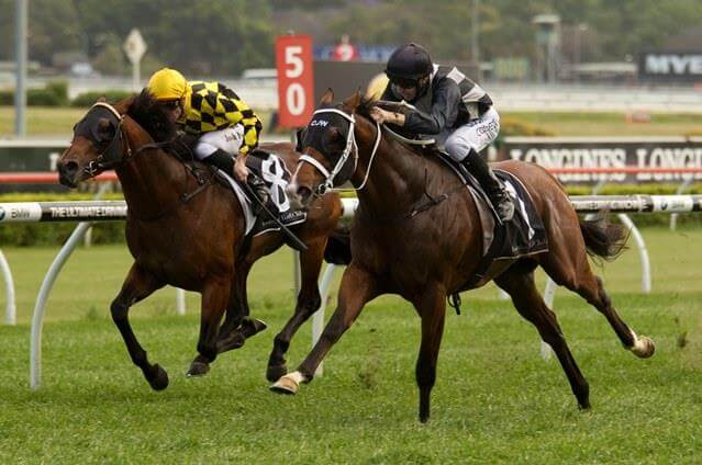 Father-and-son stakes quinella at Randwick