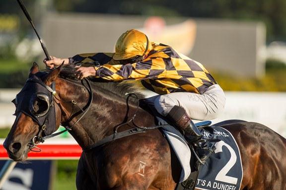Arrowfield roster dominates national awards