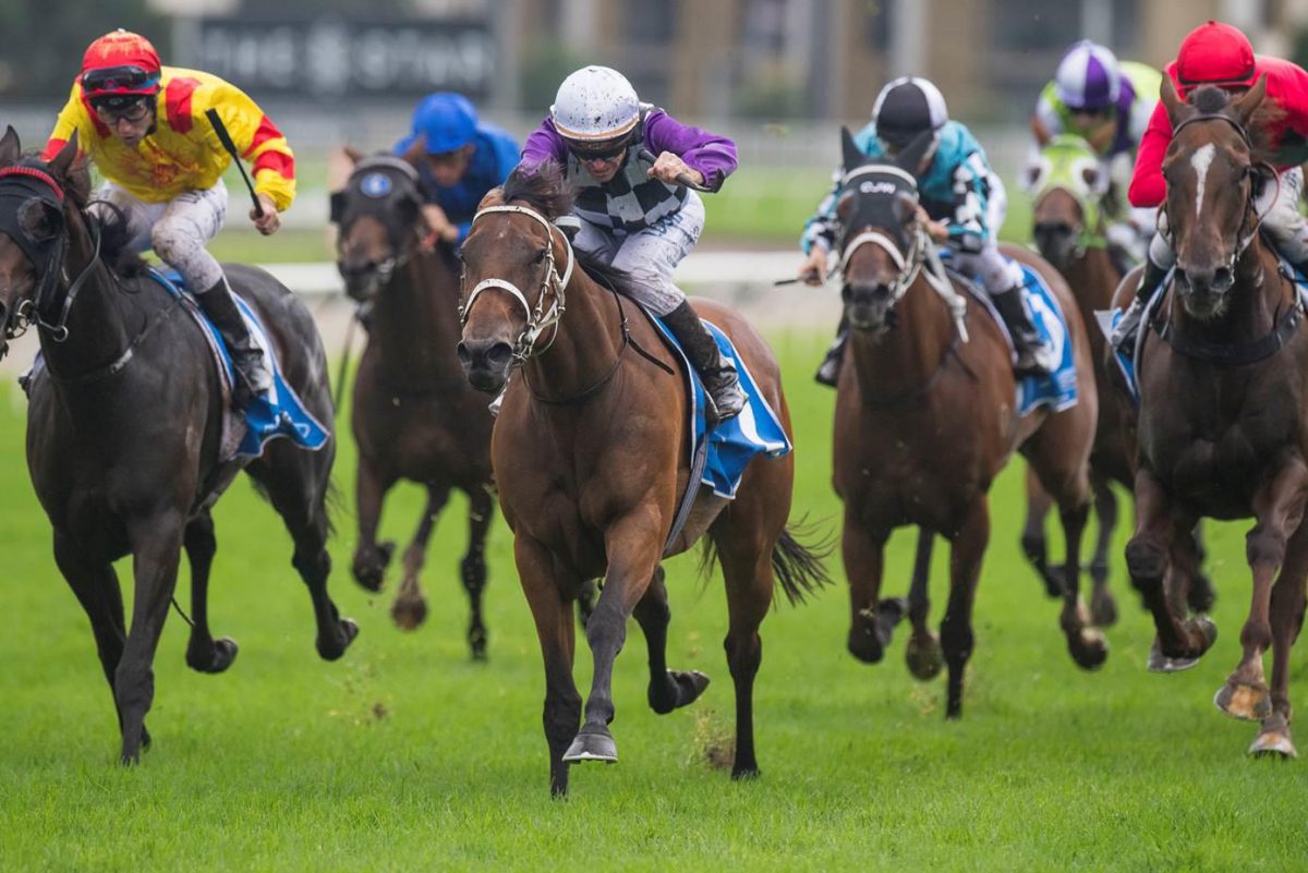 Snitzel's stakes double at Randwick
