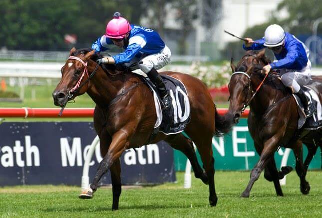 Redoute's Choice the surest bet