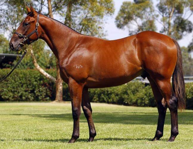 130th stakeswinner for Redoute's Choice