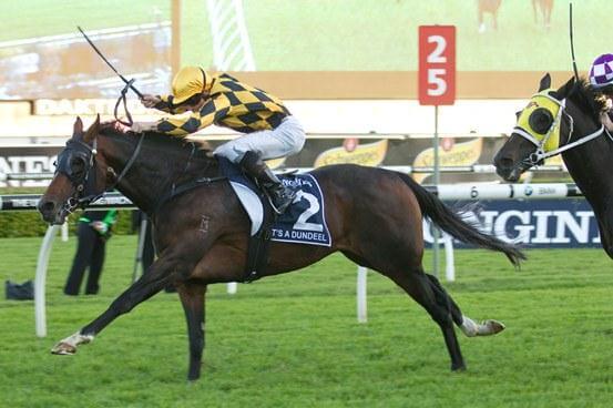 Dundeel's dam booked to Redoute's Choice