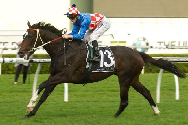 Stakeswinner 115 for Redoute's Choice