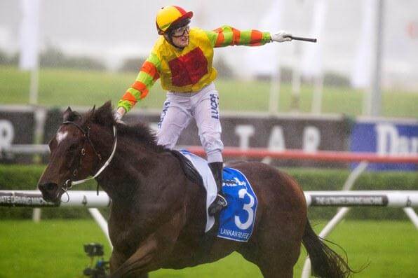 Lankan Rupee named Australian Racehorse of the Year