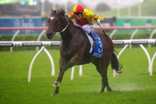 Arrowfield's strong hand in Horse of the Year awards