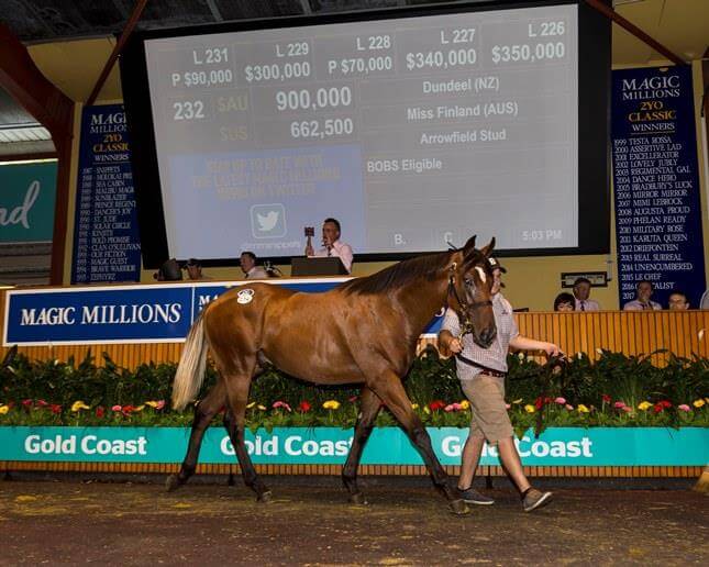 Dundeel colt tops Magic Millions Day 1