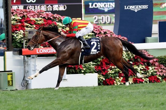 Maurice magnificent in Hong Kong Cup