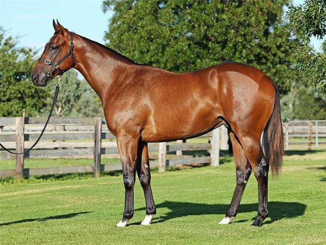 Historic Group 1 double for Redoute's Choice