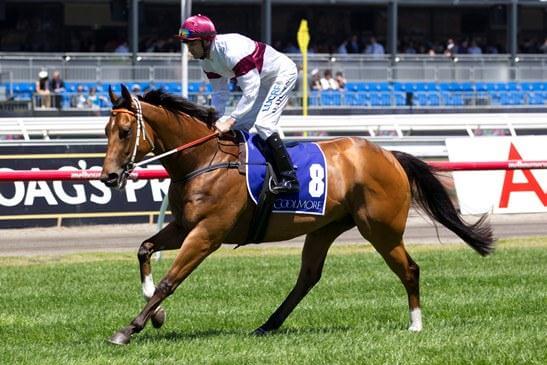 Arrowfield spot on with Magic Millions yearlings
