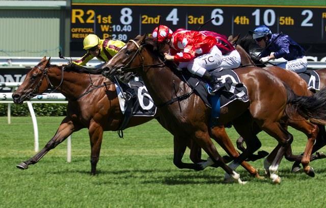 Snitzel filly nabs Light Fingers Stakes