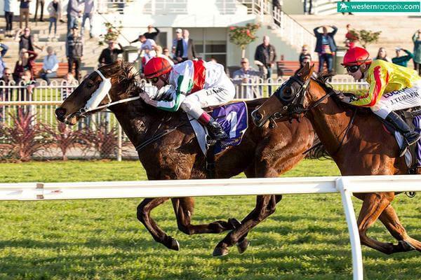 Redoute's Choice leads on stakes wins