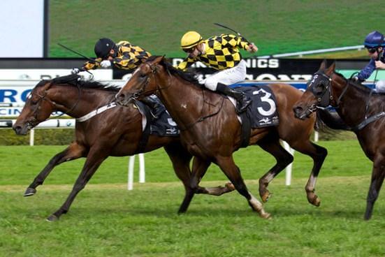 Redoute's Choice colts quinella Up and Coming Stakes