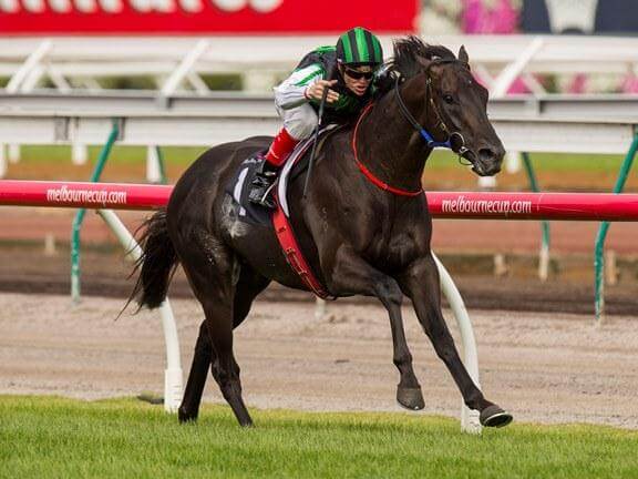 Shamus & Lil give Snitzel a Guineas double