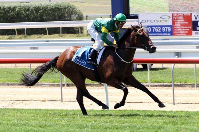 Arrowfield's strong record in Inglis Races