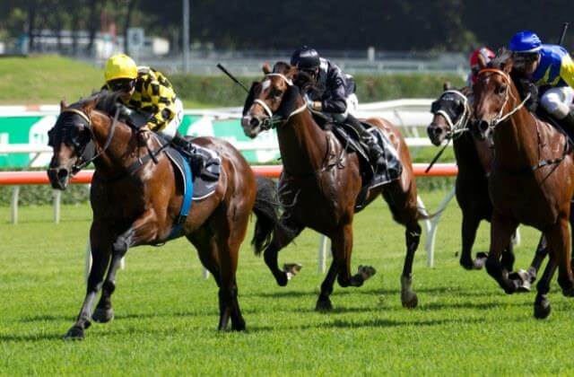 Snitzel & Arrowfield Making the Most of Success
