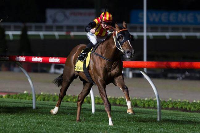 Snitzel rises to a new level of performance