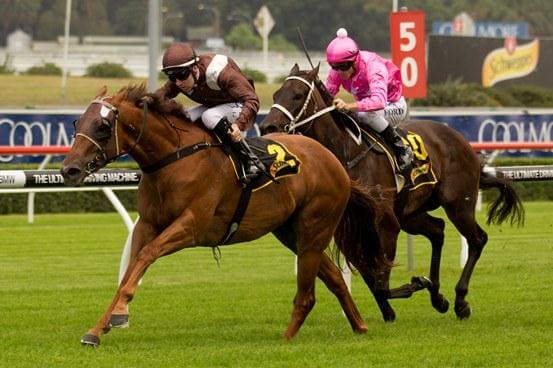 Sweet quinella in Light Fingers Stakes