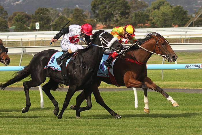 International Group double by Redoute's Choice fillies
