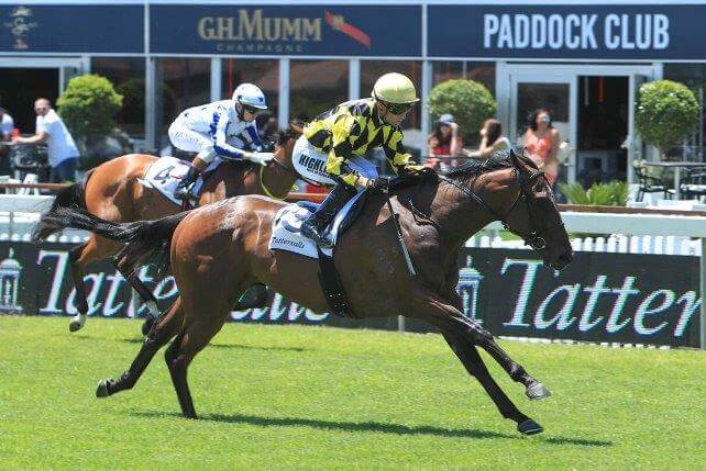 Snitzel 2YO colt wins South African stakes