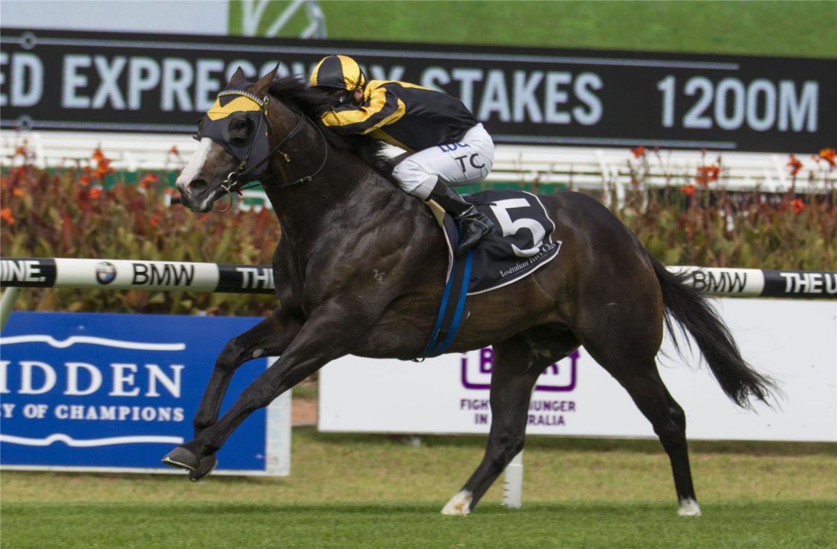 Snitzel stars quinella Expressway Stakes