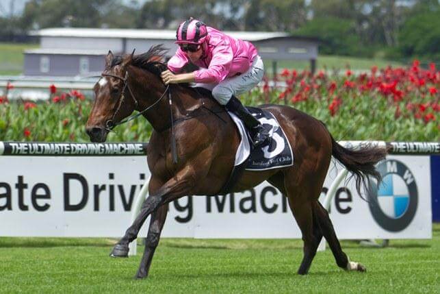 Voilier wins on debut at Rosehill