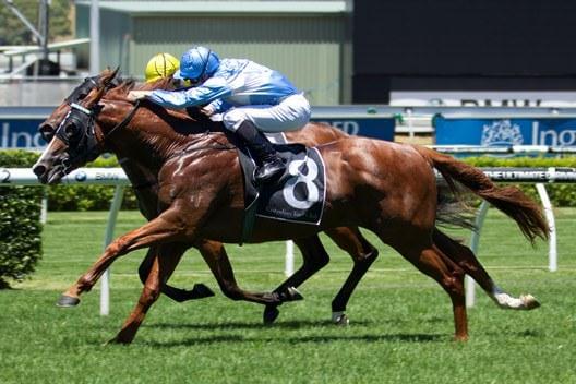 Woodbine wins in record time at Randwick