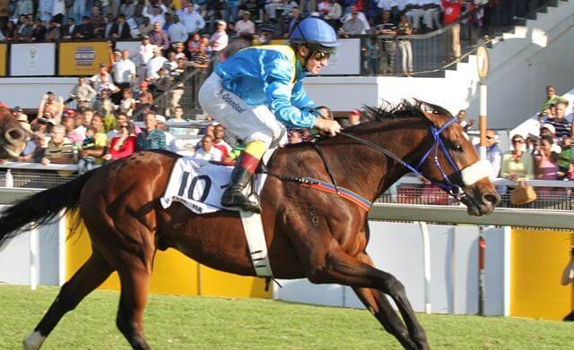 Group 1 quinella for Redoute's Choice in South Africa
