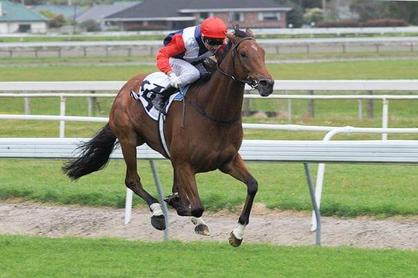 Simply Brilliant is simply impressive in Rosehill trial