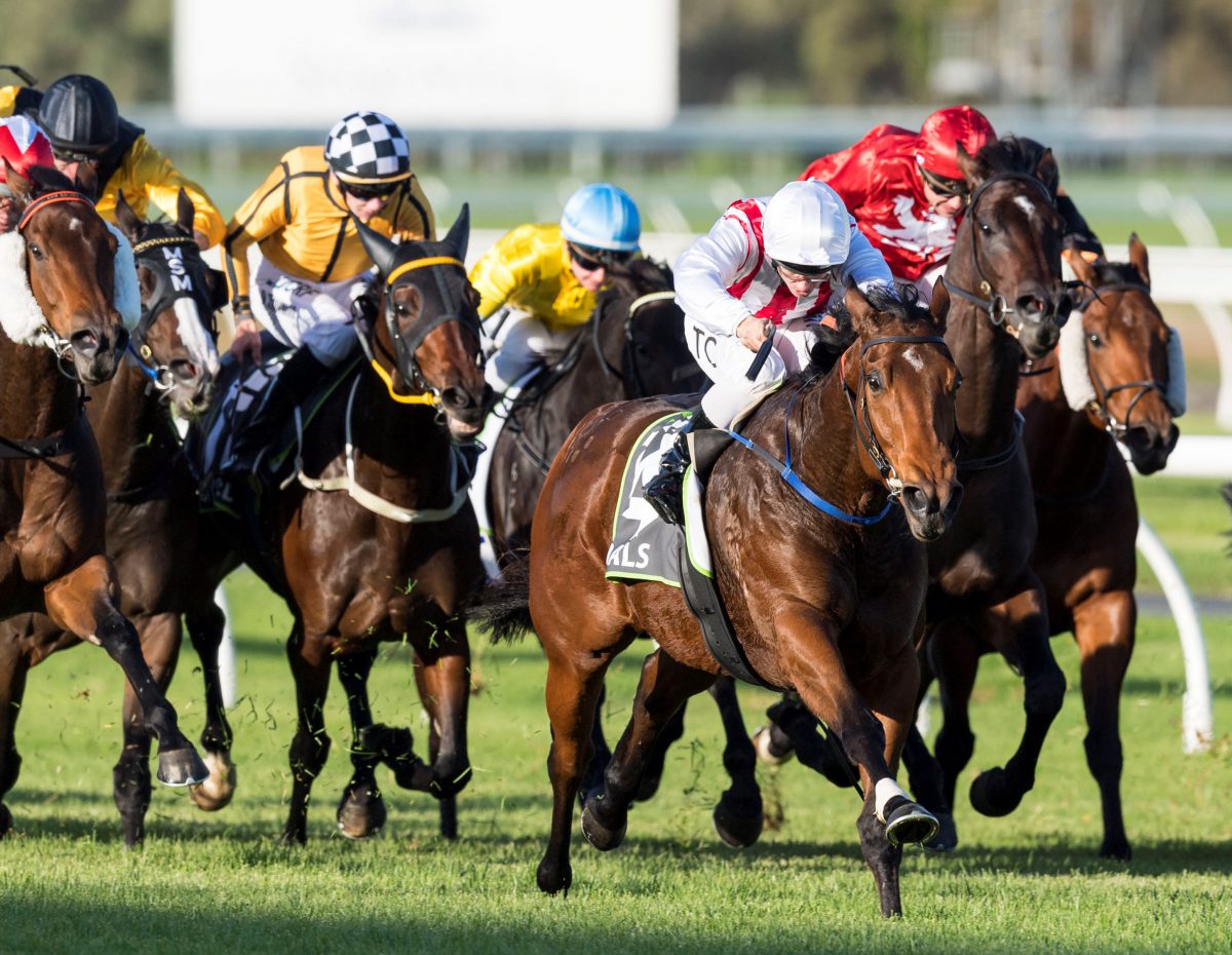 Magnificent Shoals leads home Arrowfield Group 1 quinella