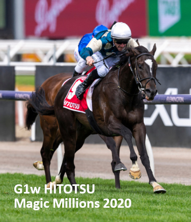 HITOTSU (Maurice x Love is Fickle) wins the G1 Victoria Derby. Ridden by John Allen. Photo by Bronwen Healy. The Image is Everything - Bronwen Healy Photography