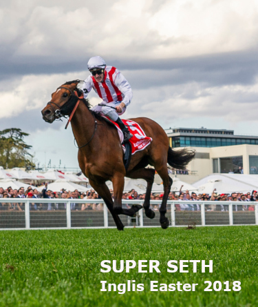 Super Seth (Dundeel - Salutations) ridden by Mark Zahra (white cap - on the extreme outside) defeats Alligator Blood (Ryan Maloney -rails) to win the (G1) Caulfield Guineas at Caulfield Racecourse. 12 October 2019
© The Image is Everything - Bronwen Healy & Darren Tindale Photography
Photo: Darren Tindale - The Image is Everything