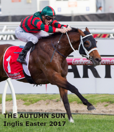 The Autumn Sun ridden by James McDonald wins the Caulfield Guineas (Group 1) at Caulfield Racecourse, 13 October 2018. Photo credit Gary Wild / The Image is Everything.
The Autumn Sun ridden by James McDonald wins the Caulfield Guineas (Group 1) at Caulfield Racecourse, 13 October 2018. Photo credit Gary Wild / The Image is Everything.