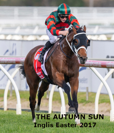 THE AUTUMN SUN (Redoute's Choice - Azmiyna) wins the G1 Caulfield Guineas. Ridden by James McDonald. Photo - Bronwen Healy. The Image is Everything. Bronwen Healy and Darren Tindale Photography.