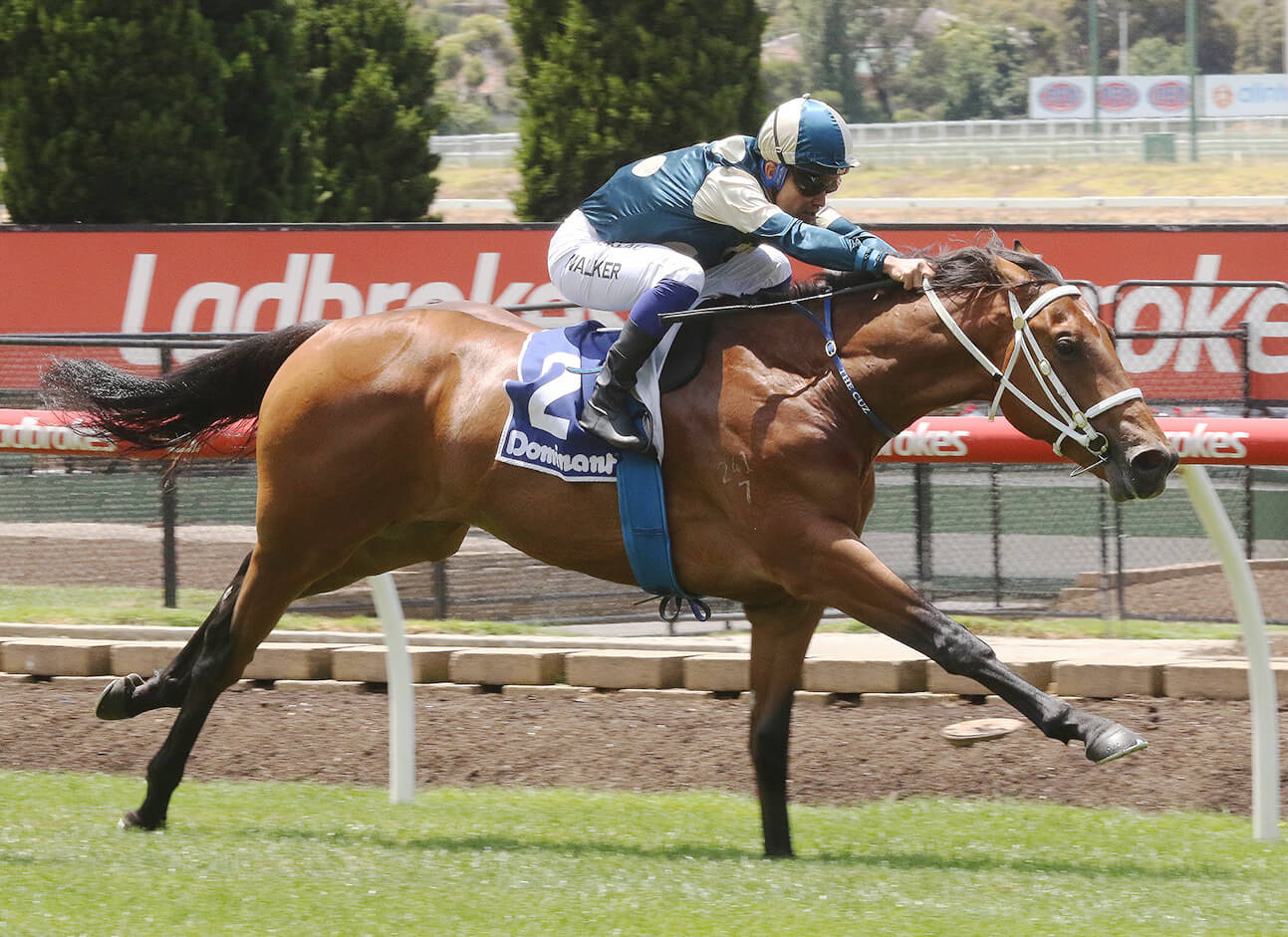 Lord Kanaloa colt impresses at The Valley