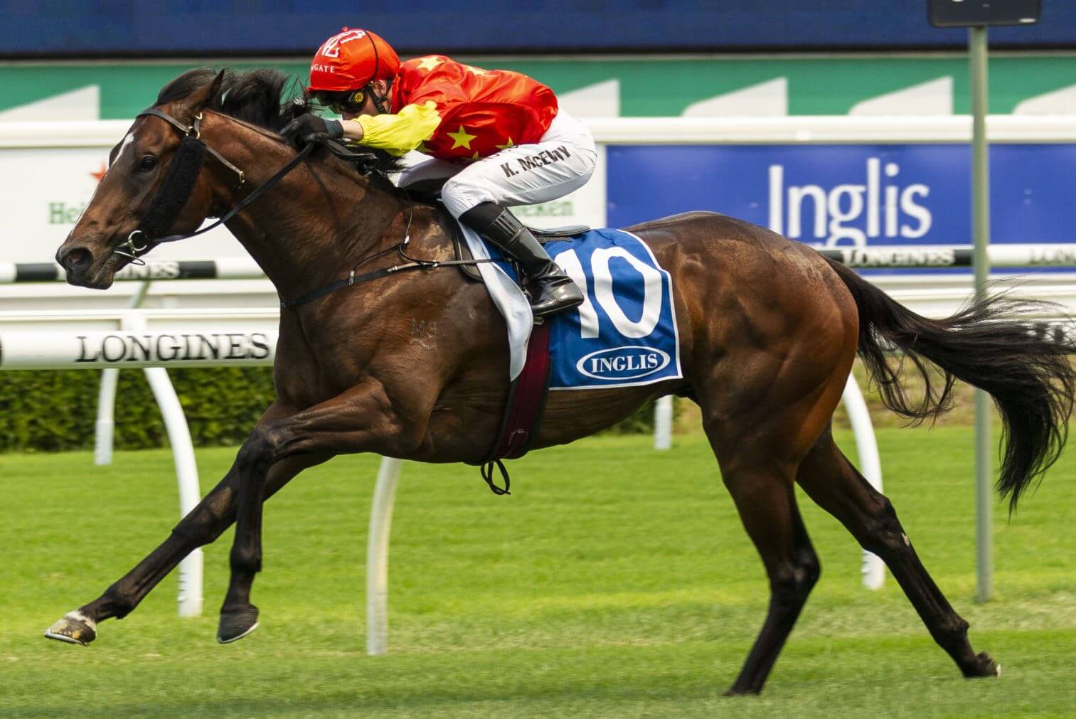 Snitzel colt rules $500,000 Inglis Nursery