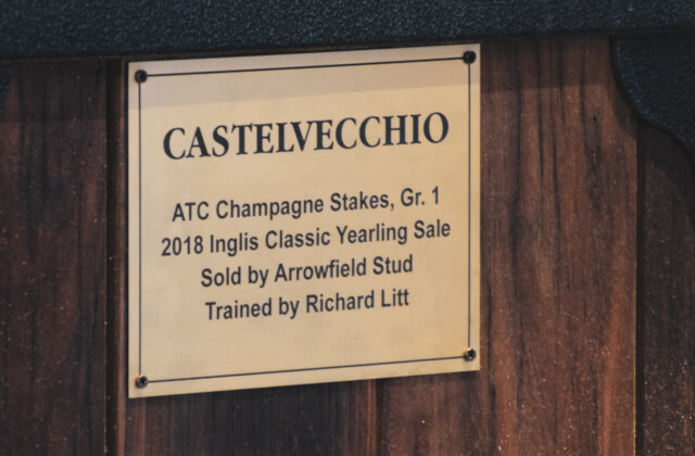 Castelvecchio honoured at Riverside Stables